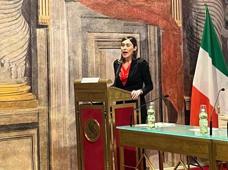 Malattie rare: Boschi (Iv-Az), 'stanziare più risorse, non basta Fondo solidarietà'