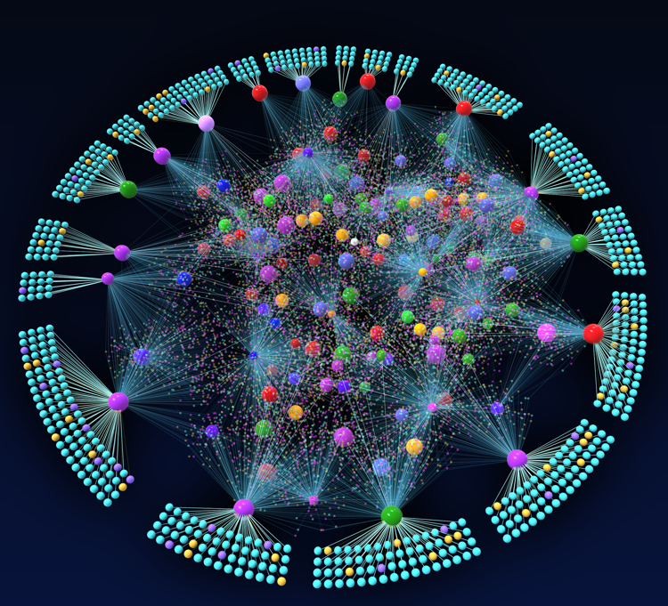 il network di chinasi generato dall'algoritmo Sphinks per la terapia di precisionedel glioblastoma (Immagine di Antonio Iavarone e Anna Lasorella)