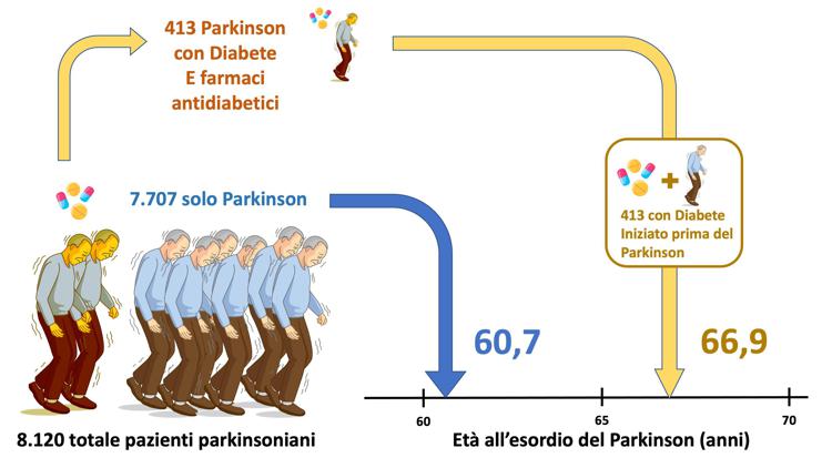 La ricerca su antidiabetici e Parkinson  - Fondazione Grigioni per il morbo di Parkinson