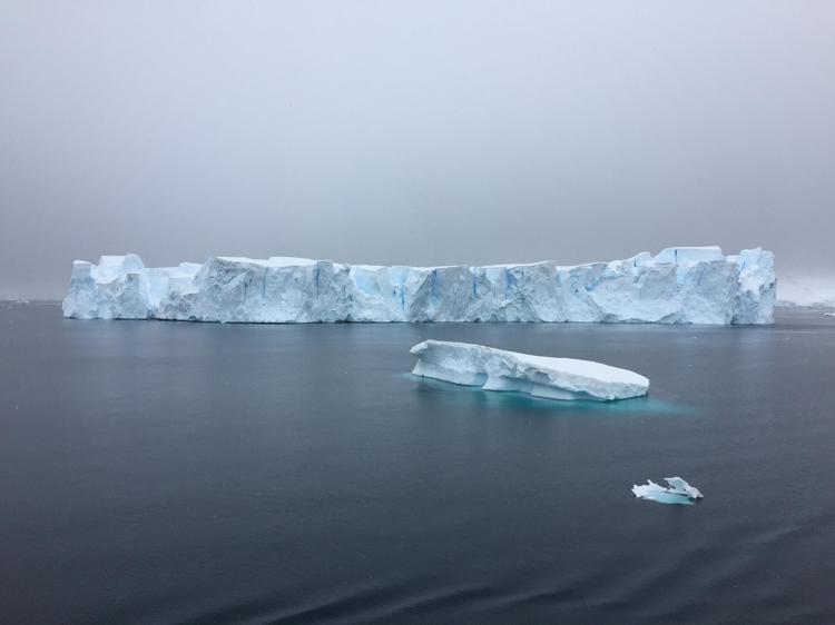 La calotta glaciale marina globale si sta sciogliendo