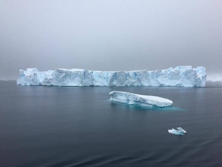 La calotta glaciale marina globale si sta sciogliendo