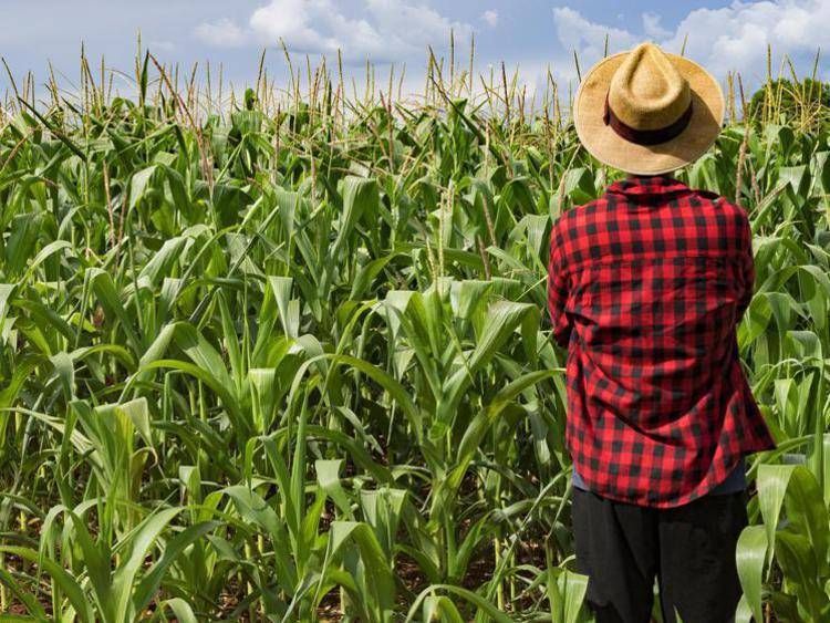 Numeri in crescita per gestione del rischio in agricoltura, Fondo AgriCAT sia grimaldello cambiamento