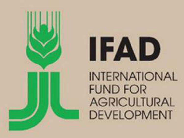 Ukraine becomes IFAD's 178th member country