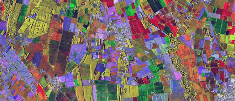 Area agricola nel sud della Lombardia. I diversi colori dei campi illustrano i cambiamenti nel tempo dovuti alle pratiche agricole.(Immagine COSMO-SkyMed ©ASI. Processata e distribuita da e-GEOS)