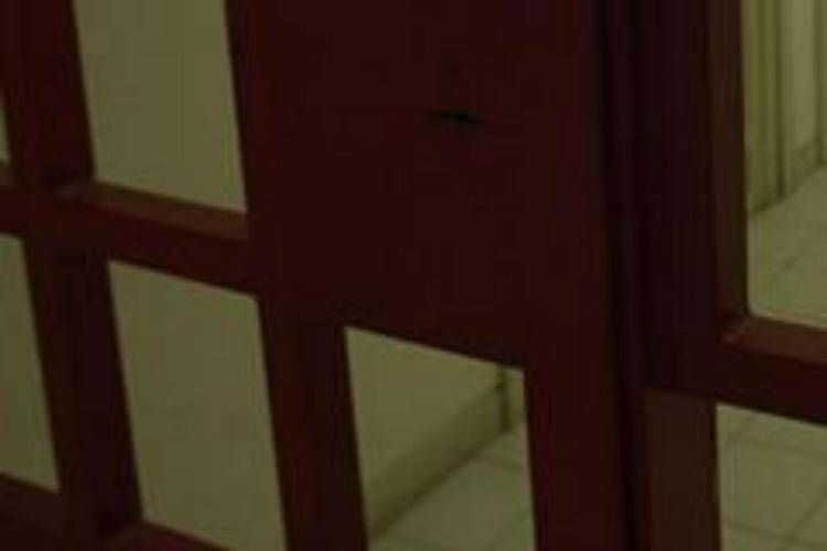 Sbarre di un carcere (Fotogramma)