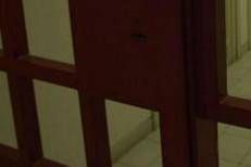 Sbarre di un carcere (Fotogramma)