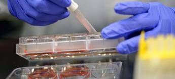 Malattia di Crohn, ok Ema a terapia orale ‘once a day’