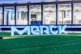 Merck, with diversification of productions and supplies laid the foundation for further growth