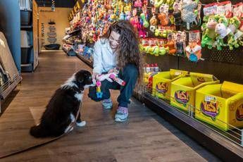 Arcaplanet continues retail expansion plan, 18 new stores in Sicily
