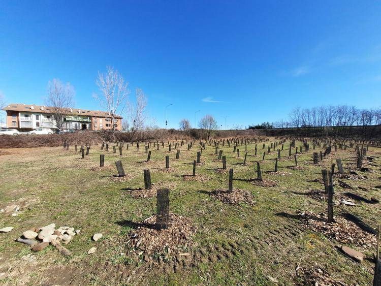 Con 'Le città che respirano', riqualificati oltre 55mila mq di territorio