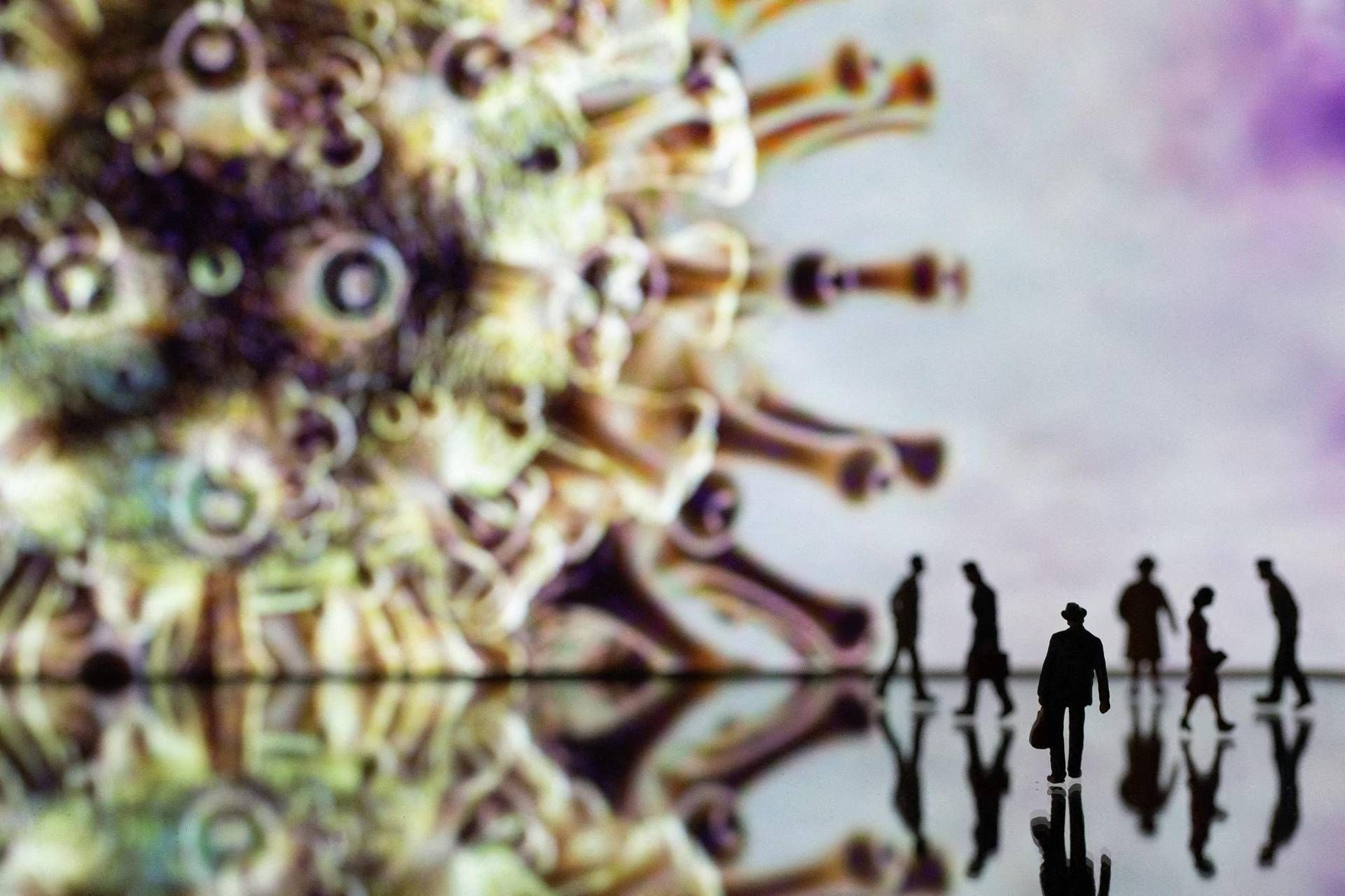 covid cacciatore covid cacciatore