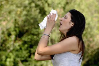 Smog alleato del polline, reazioni anche per 3 mln italiani non allergici