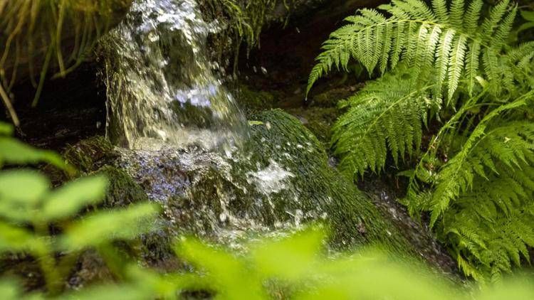 Sanpellegrino, in 5 anni risparmiati 295 mln litri di acqua nei processi produttivi