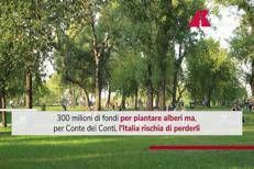 Pnrr, l'Italia non pianta alberi: cosa rischia