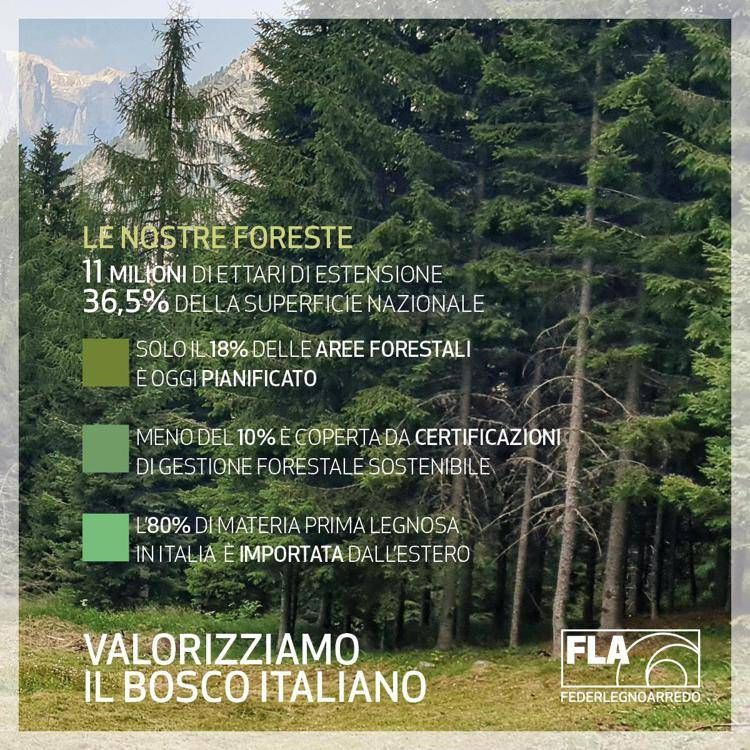 FederlegnoArredo promuovere l'uso a cascata del legno