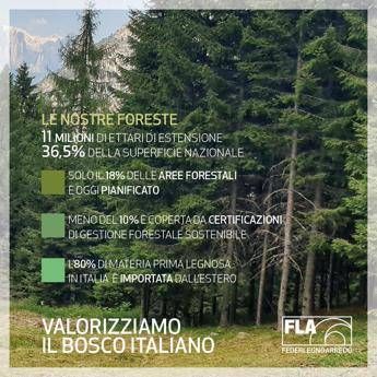 FederlegnoArredo promote the cascade use of wood