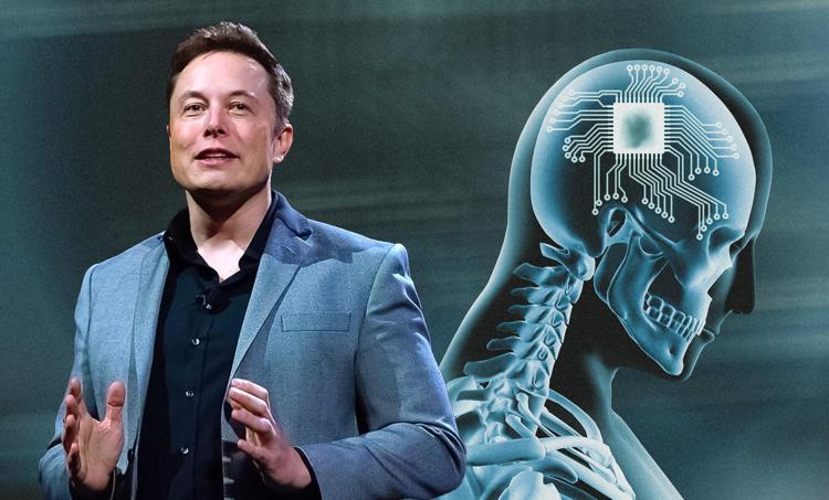 ChatGpt, Musk chiede lo stop: 