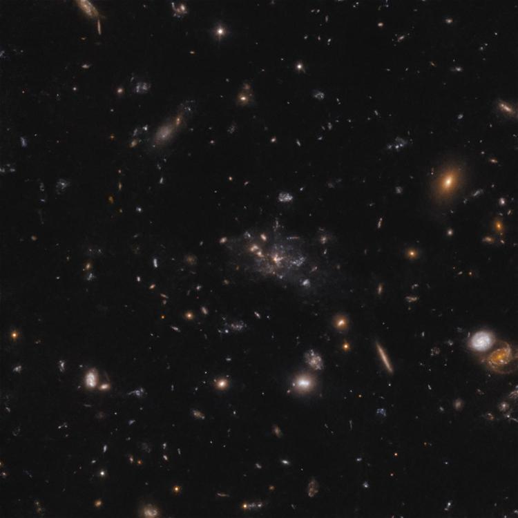 Protoammasso attorno alla galassia Spiderweb (Immagine ESO-Di Mascolo) 
