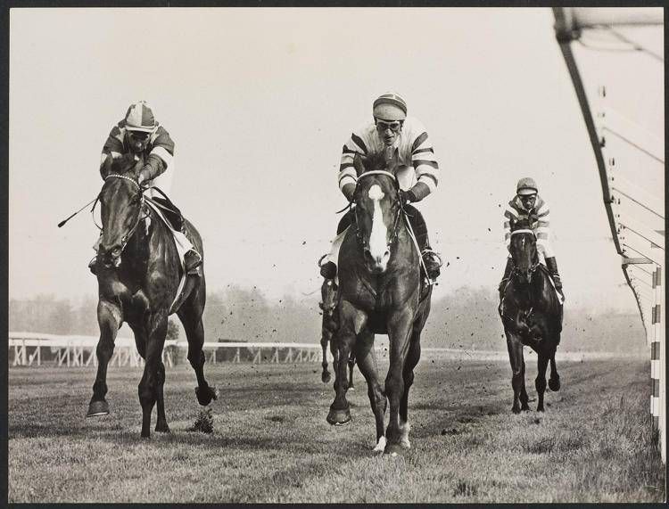 Corse al galoppo anni Settanta, Ippodromo San Siro di Milano