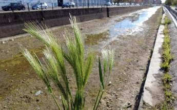Drought Decree 2023, there is the ok of the CDM: what it provides