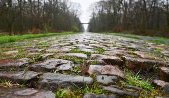 Paris-Roubaix 2023, tomorrow Italy focuses on Ganna