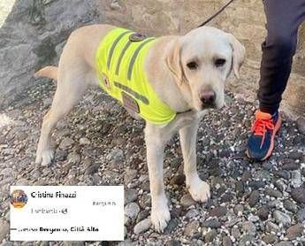 Bergamo, no funicular for autistic child’s dog: people are rioting