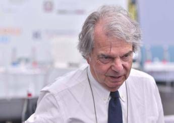 Cnel, Cdm appoints Brunetta as president