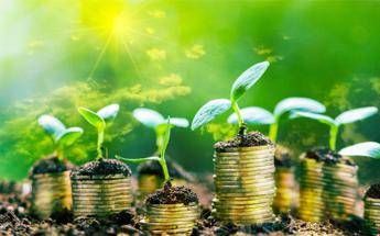 Imq eAmbiente accompanies Altromercato in planning the Social Report