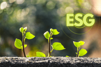 Honor presents its first ESG Report