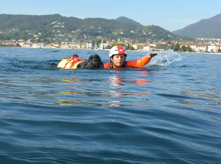 Estate, Sics: 300 cani salvataggio pronti a salvare vite a mare e laghi, venerdì giornata mondiale