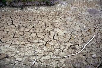 Water, a third of water resources lost in 2022 (-31% on 2021): 4 times the size of Lake Bolsena