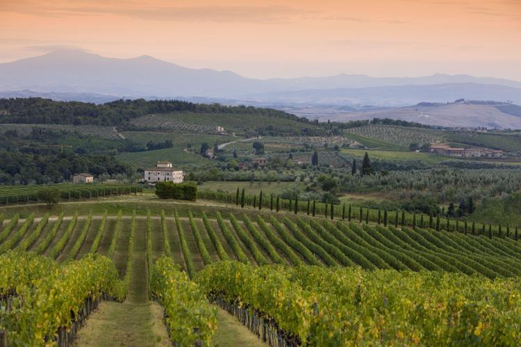 Toscana: regione simbolo dell’Italia del vino