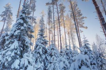 Usa, boy survives two days in forest eating snow