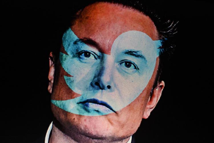 Elon Musk - Fotogramma /Ipa