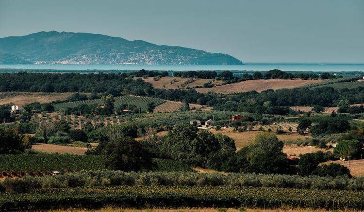 Rosso Morellino: la Maremma del vino si racconta al grande pubblico