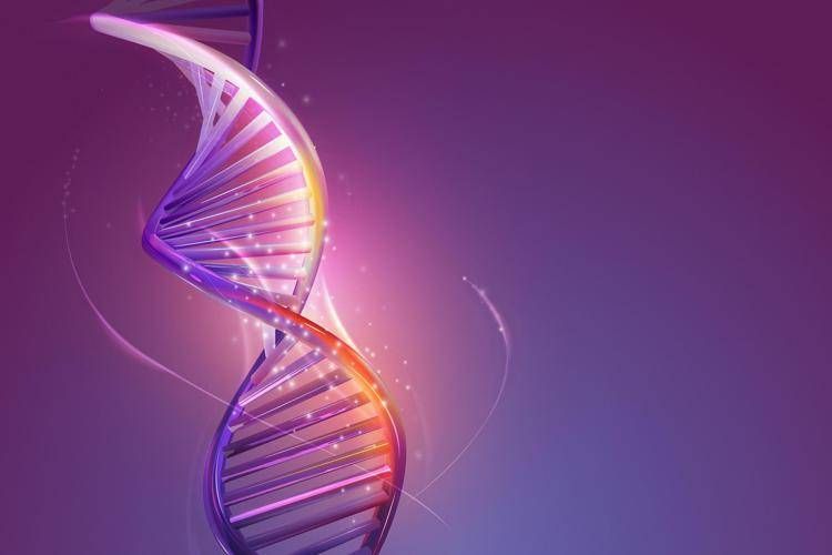 Tumori, ecco come le radiazioni danneggiano Dna: lo studio