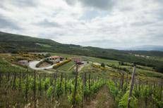 Le Tenute del Leone Alato acquisisce Duemani