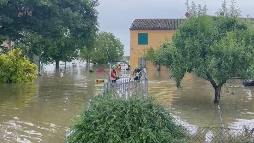 Emilia Romagna flood, inflatable boats like Noah’s Ark to save parrots, dogs and cats