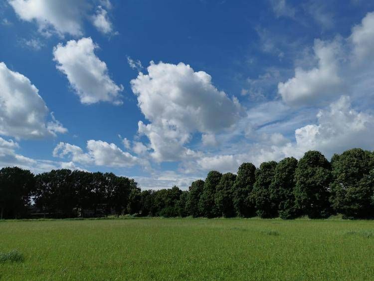 Spazio alla biodiversità nei campi bio di NaturaSì