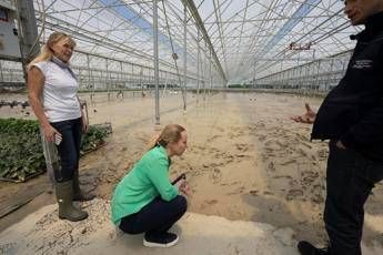 Emilia Romagna flood, red alert again.  Melons in the affected areas: “The government is there”