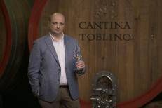 Vino: Denis Andreis è il nuovo direttore generale di Cantina Toblino