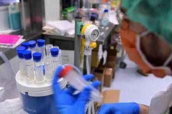 Malattie rare, endocrinologa Brandi: “Giusto dare terapia per l’XLH anche negli adulti”