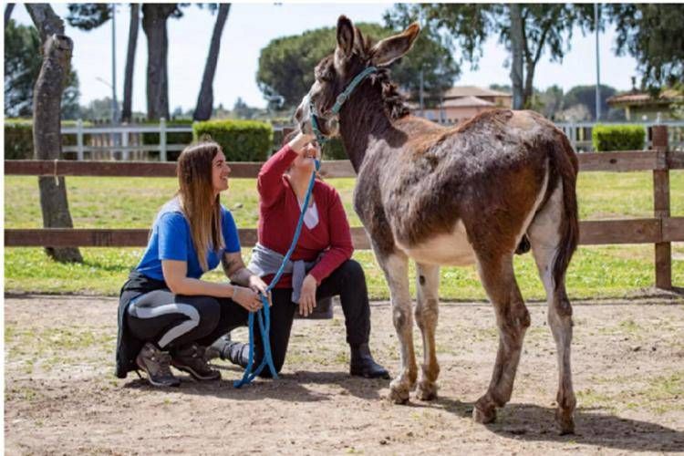 Interventi assistiti con animali. ASI all’Ippodromo delle Capannelle