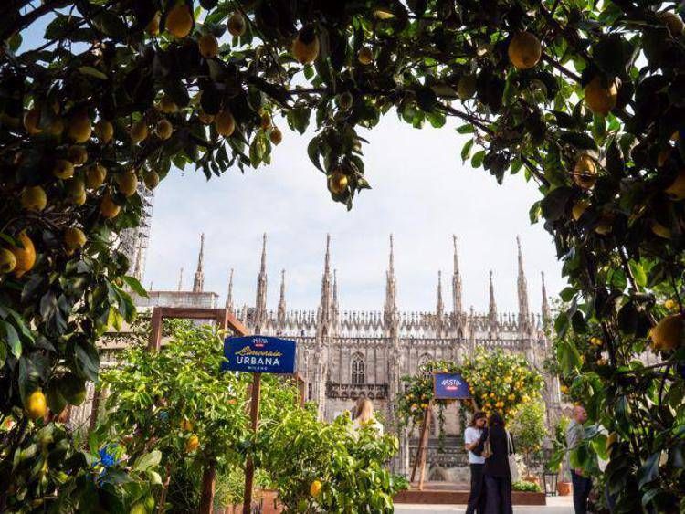 Barilla Limonaia Urbana