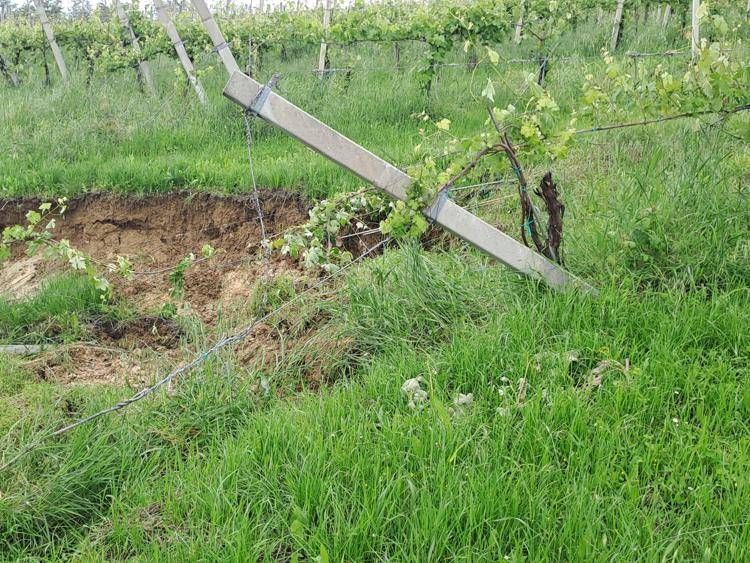 Alluvione sui vigneti del territorio, ingenti danni alle cantine dei Colli Bolognesi