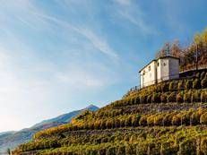 Valtellina, la ri-scoperta dello Sforzato “Contemporaneo”