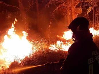 Fires, significant wildfires in the spring in the northern hemisphere