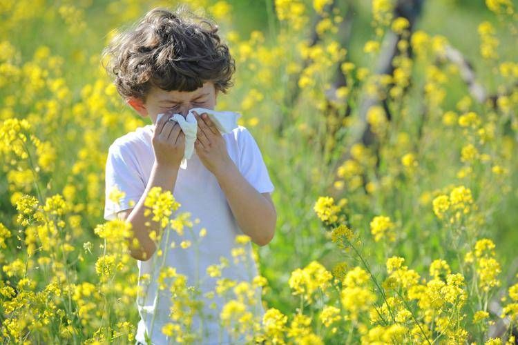 Più allergie con cambiamento climatico - Ascolta