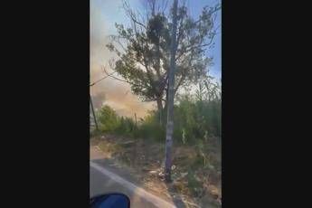 Incendi a Roma, ancora fiamme su via della Magliana: video