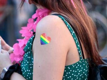 Rome Pride, Rocca after patronage revocation: “They don’t remove the logo? I won’t send the carabinieri”